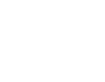 SANKARA33
